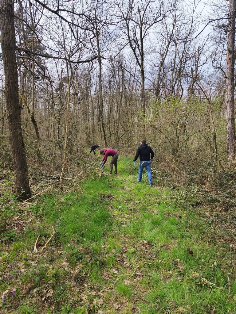 Zelena akcija trkačkog kluba Đurđevac sa Planinarskim društvom Borik