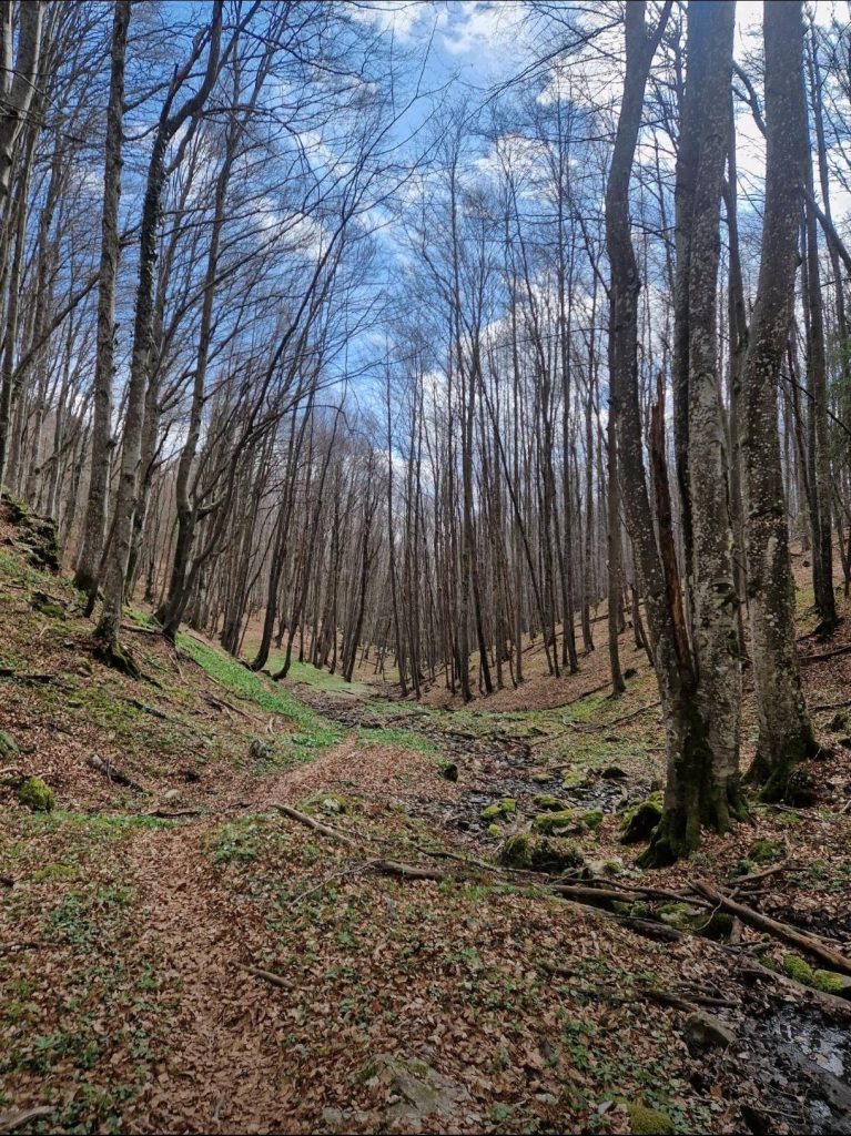 Krabat Trail – 1. kolo KontinenTrail lige