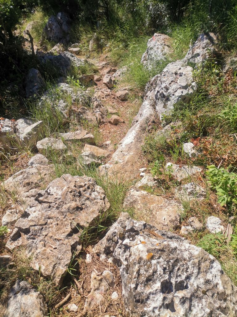 Mljet trail i 1.kolo Historic trails kupa