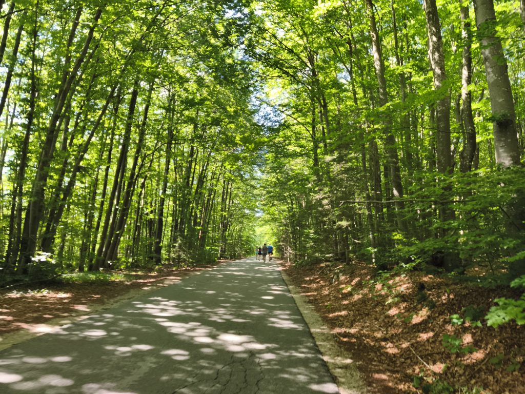 41.Plitvički maraton