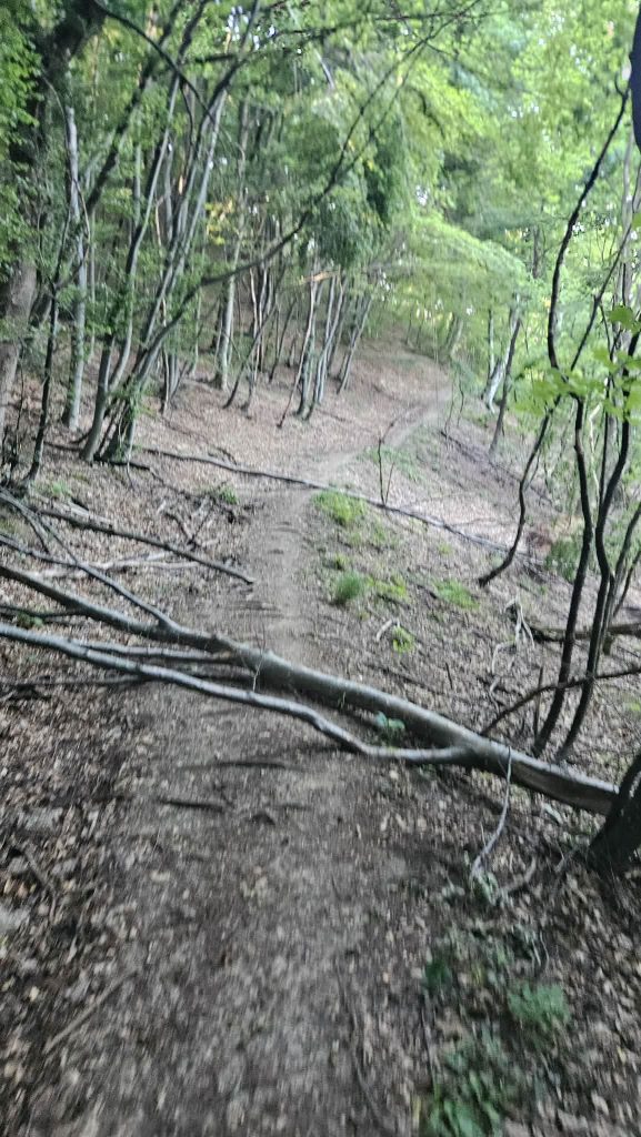 Žumberak trail